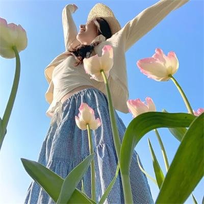 射日 在线观看